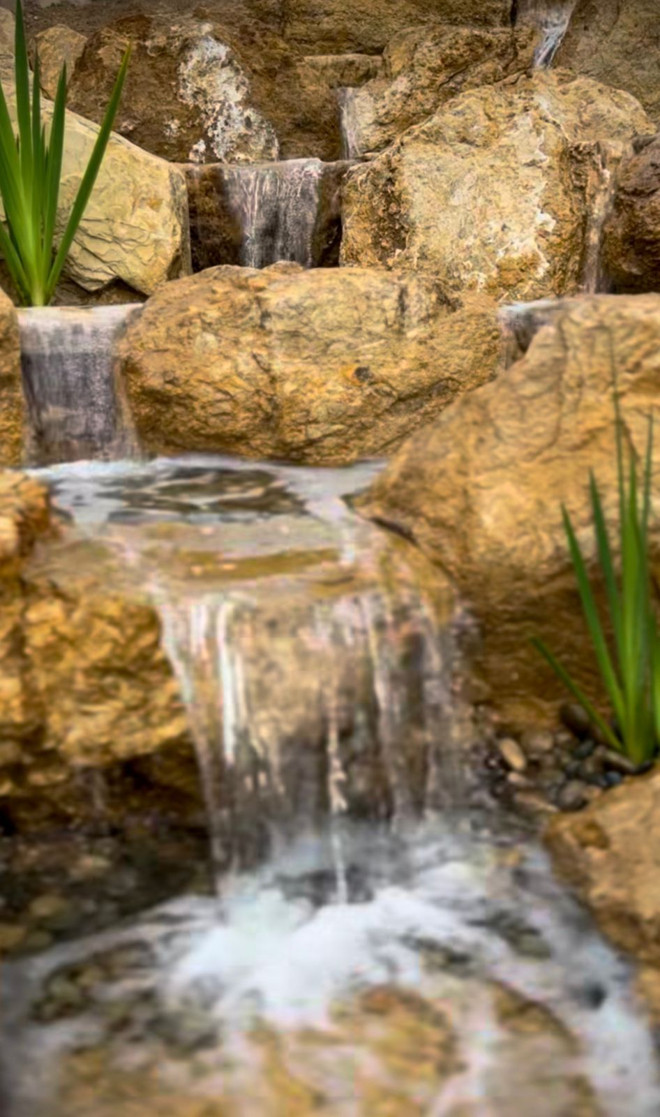 Water Feature